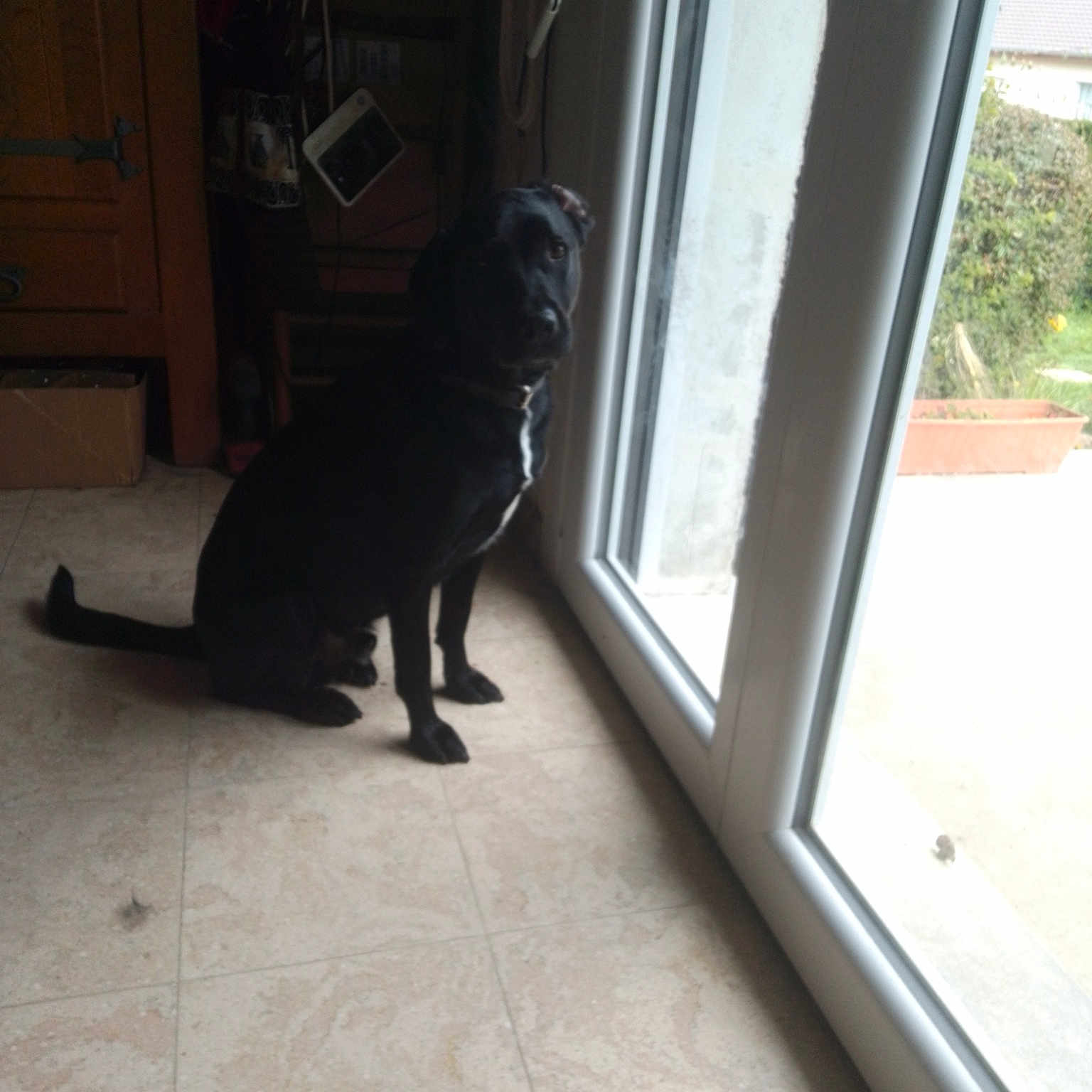 Max Et Cayenne