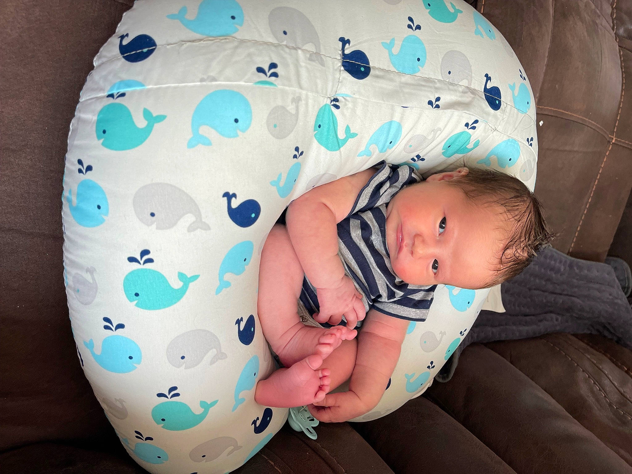 Talon is registered to the contest to win money with this photo: baby, baby_products, baby_safety, baby_sleeping, baby_toddler_clothing, blue, cheek, child, comfort, electric_blue, face, fashion_accessory, linens, pattern, person, portrait_photography, sitting, skin, sleep, sleeve