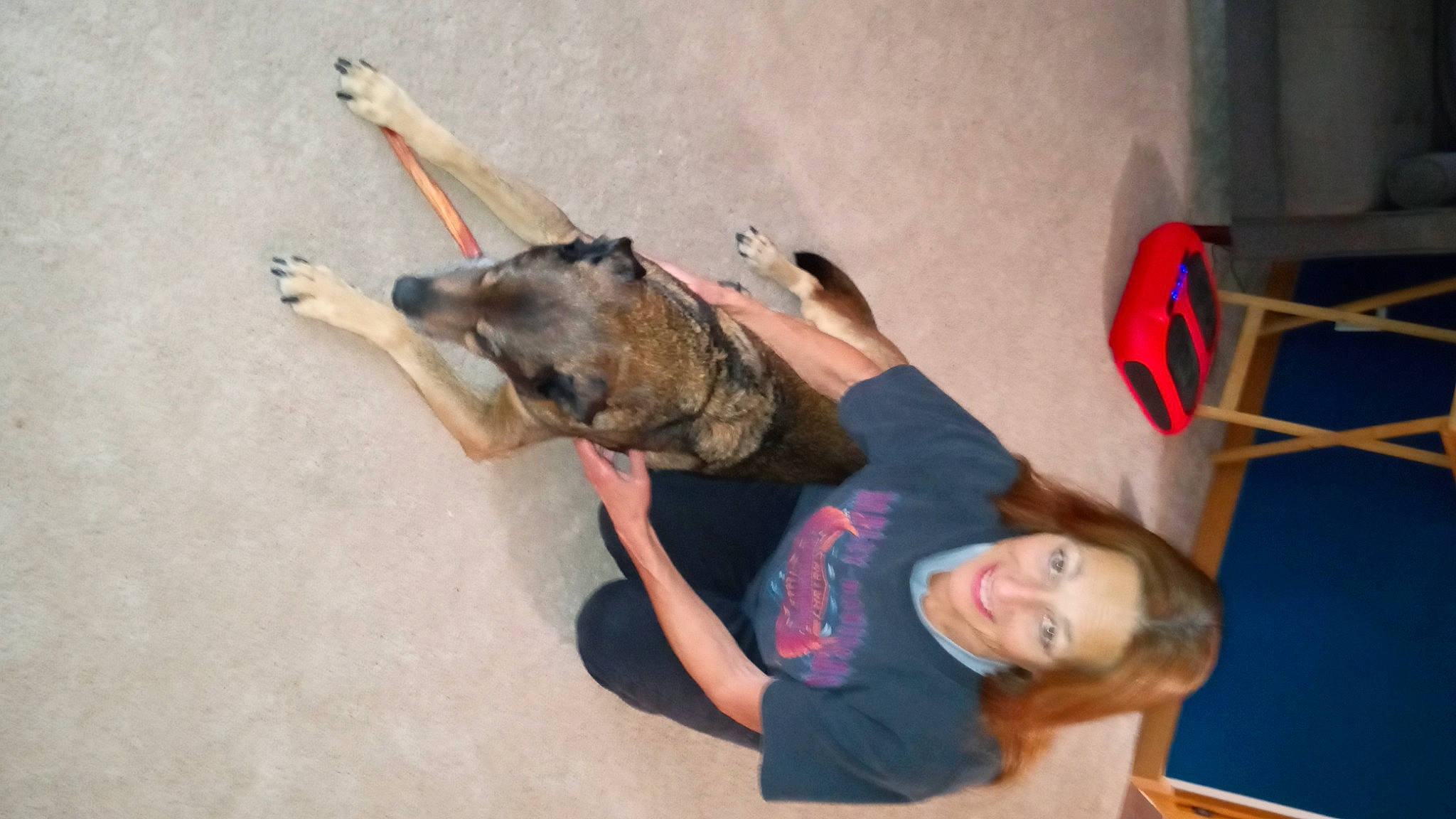 Kozmo is registered to the contest to win money with this photo: adventure, canidae, carnivore, companion_dog, dog, dog_breed, elbow, fun, smile, sporting_group, t_shirt, tail, working_animal