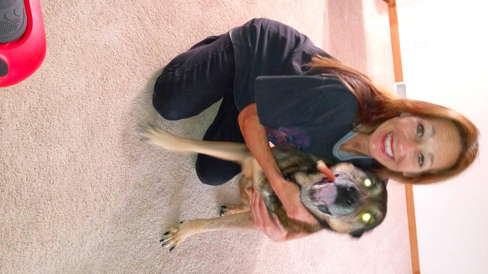 Kozmo joined the competition — help win amazing prizes! canidae, carnivore, comfort, companion_dog, dog, dog_breed, elbow, fawn, flooring, foot, happy, head, human_leg, knee, sitting, smile, snout, sporting_group, thigh, working_animal