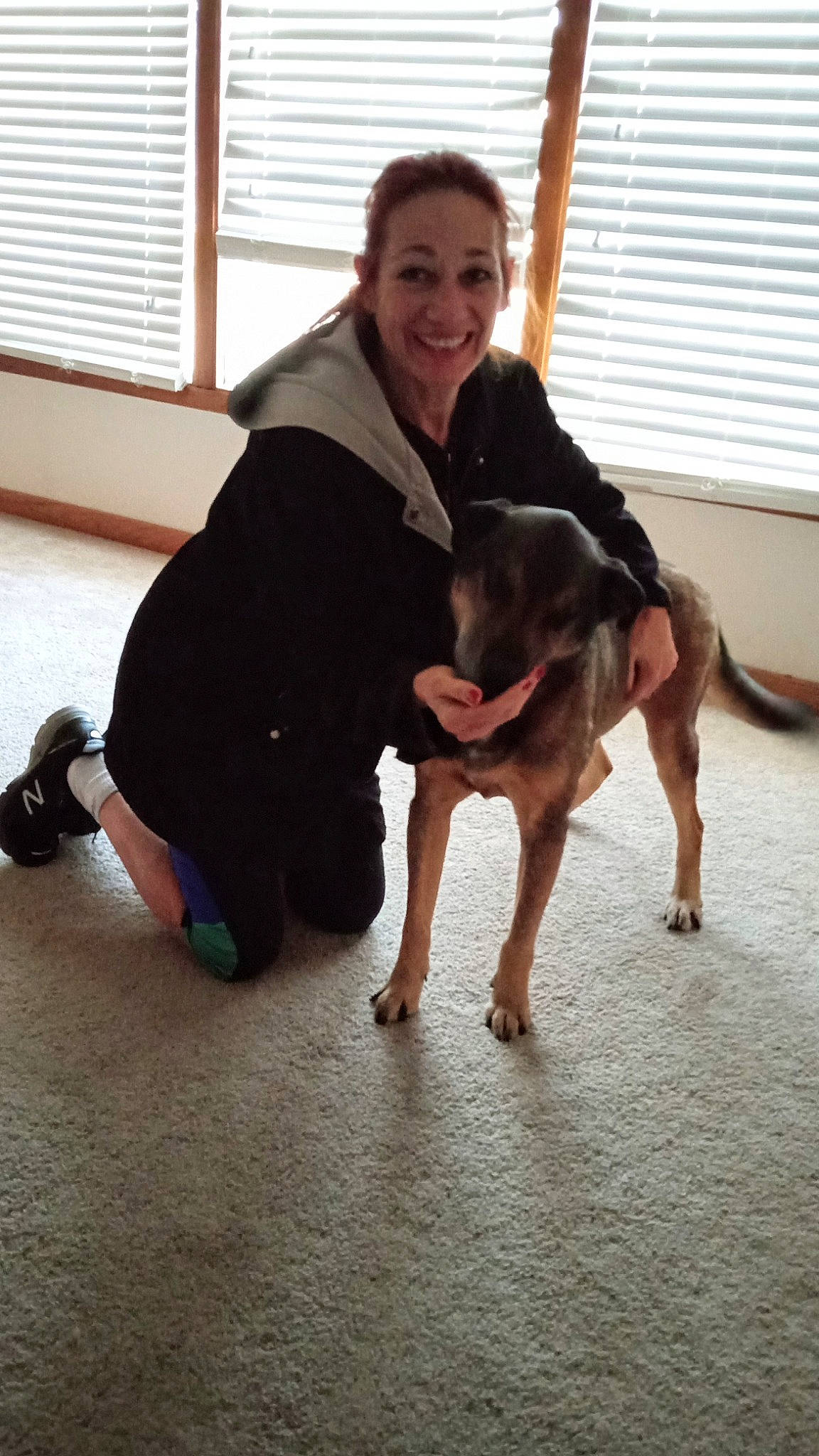 Kozmo is registered to the contest to win money with this photo: barefoot, carnivore, comfort, companion_dog, dog, dog_breed, fawn, floor, flooring, foot, fun, hardwood, human_leg, knee, smile, sporting_group, tail, thigh, window, window_blind