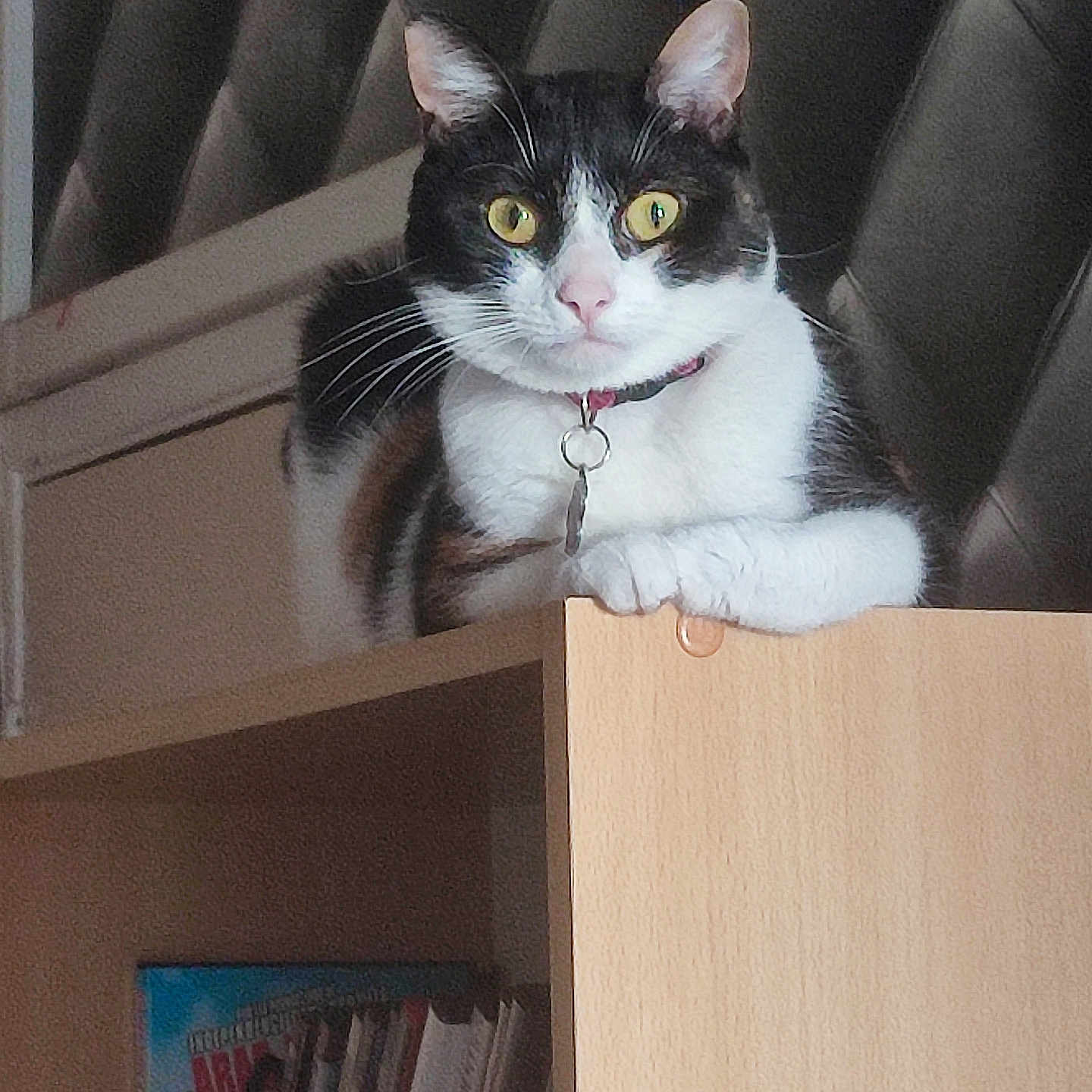 Yumi