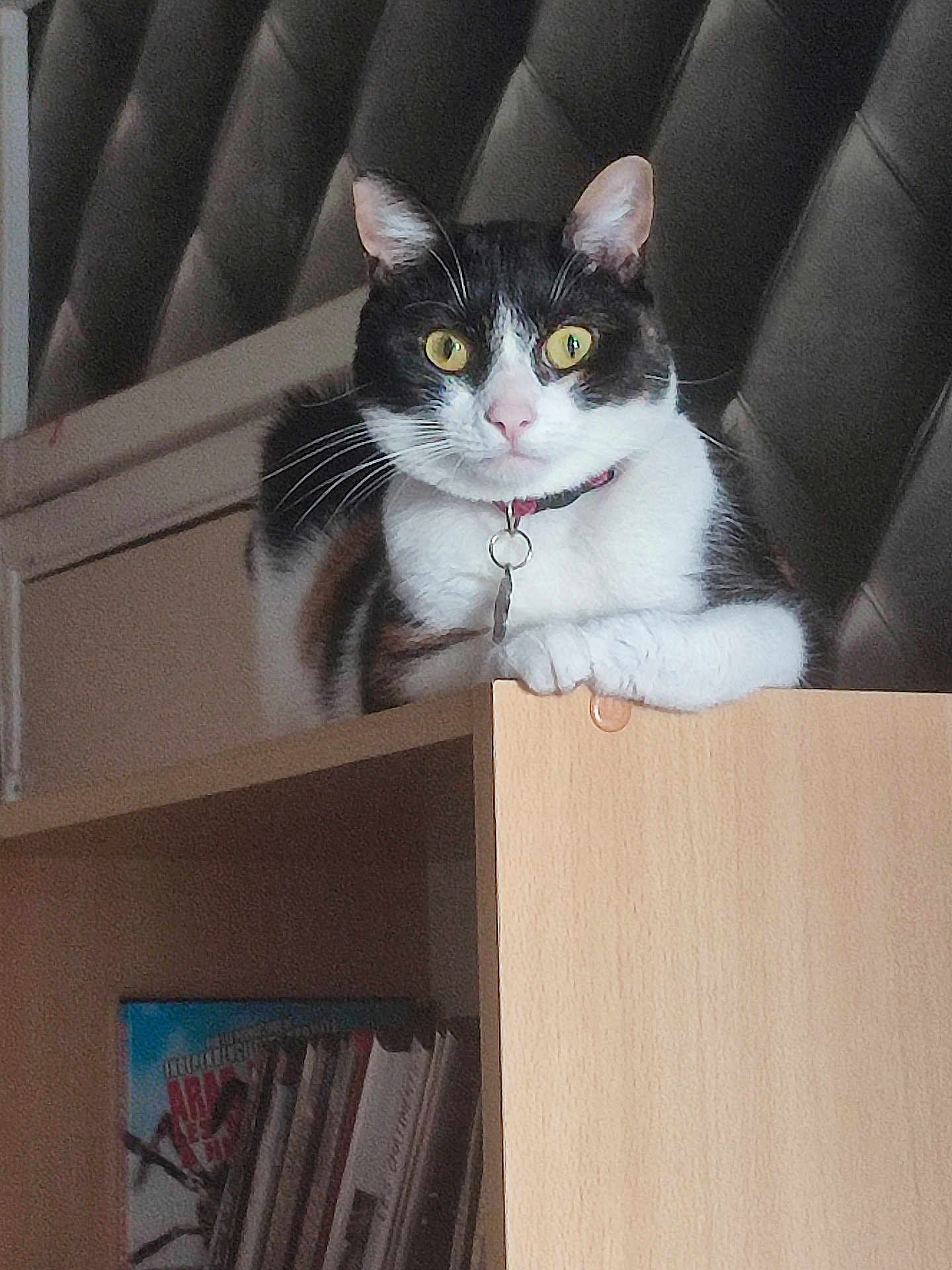 Yumi
