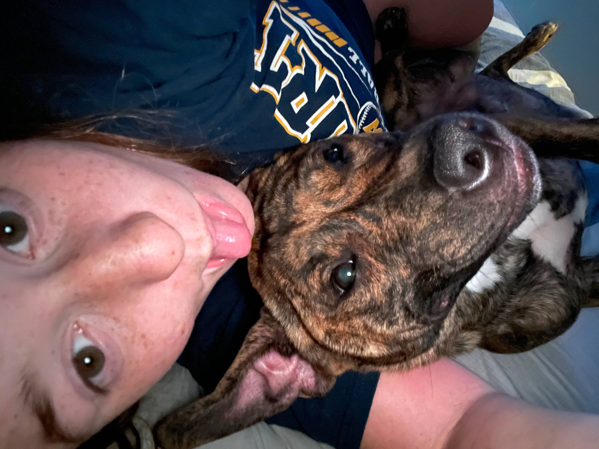 Jaxx joined the competition — help win amazing prizes! canidae, carnivore, companion_dog, dog, dog_breed, ear, fur, gesture, guard_dog, sporting_group, wildlife_biologist, working_animal, wrinkle