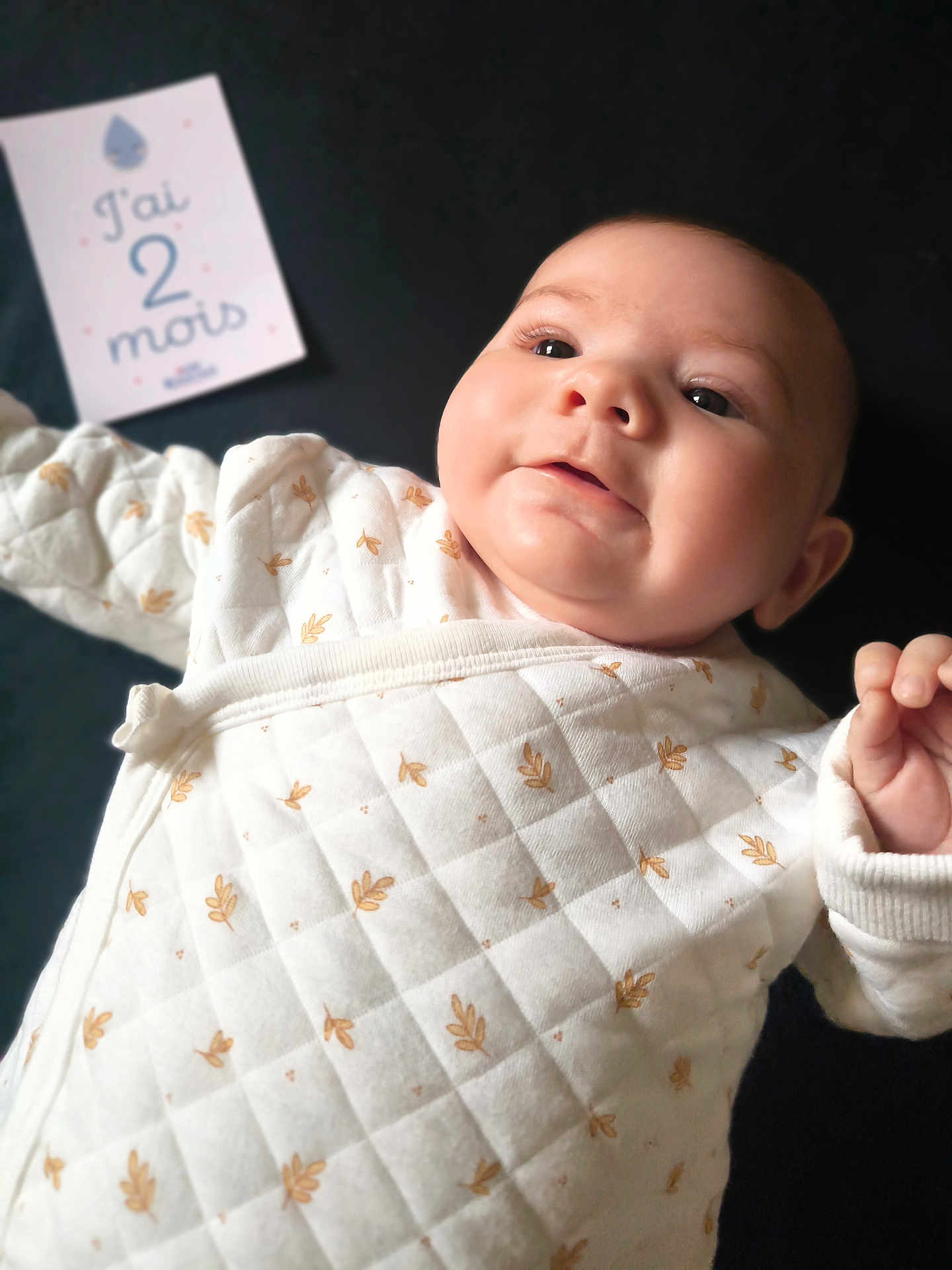 Victoire participe au concours pour gagner de l'argent avec cette photo : baby, infant, face, clothing, quilted, pattern, white, leaf, milestone_card, text, black_background, closeup, cute, lying_down, portrait, cheeks, hand, skin, expression, indoors