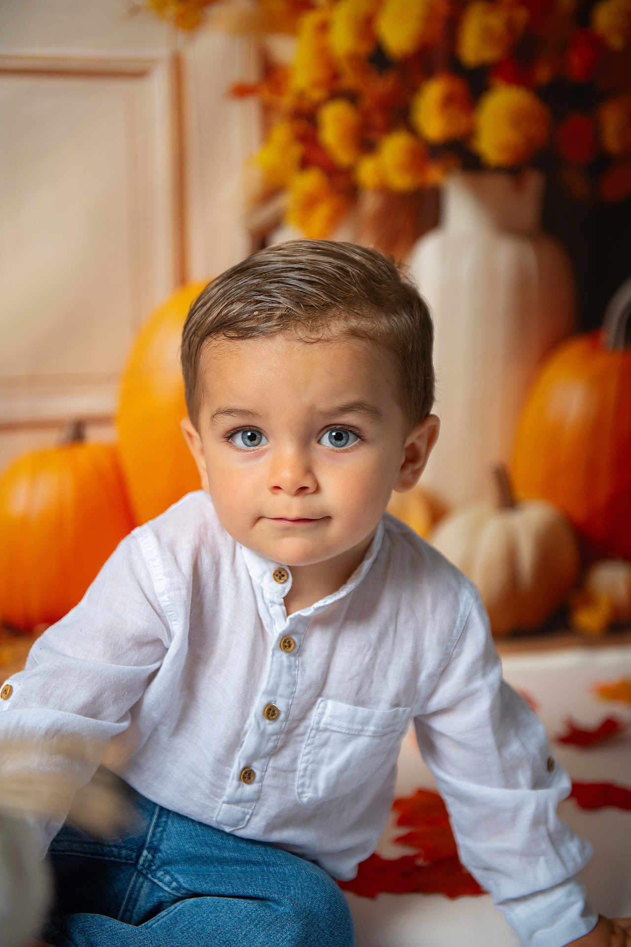 Mateo a rejoint le concours — aidez-le/la à gagner de superbes lots ! child, toddler, boy, face, blue_eyes, hair, white_shirt, denim, jeans, pumpkins, autumn, fall_leaves, flowers, vase, portrait, indoor, sitting, looking_at_camera, cute, seasonal_decor