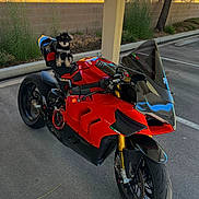 Desmo is registered to the contest to win money with this photo: puppy, motorcycle, red_motorcycle, outdoor, parking_lot, black_and_white_dog, small_dog, pet, vehicle, wheels, asphalt, daylight, fence, tree, handlebars, seat, tire, shadow, nature, parked_vehicle