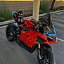 puppy, motorcycle, red_motorcycle, outdoor, parking_lot, black_and_white_dog, small_dog, pet, vehicle, wheels, asphalt, daylight, fence, tree, handlebars, seat, tire, shadow, nature, parked_vehicle