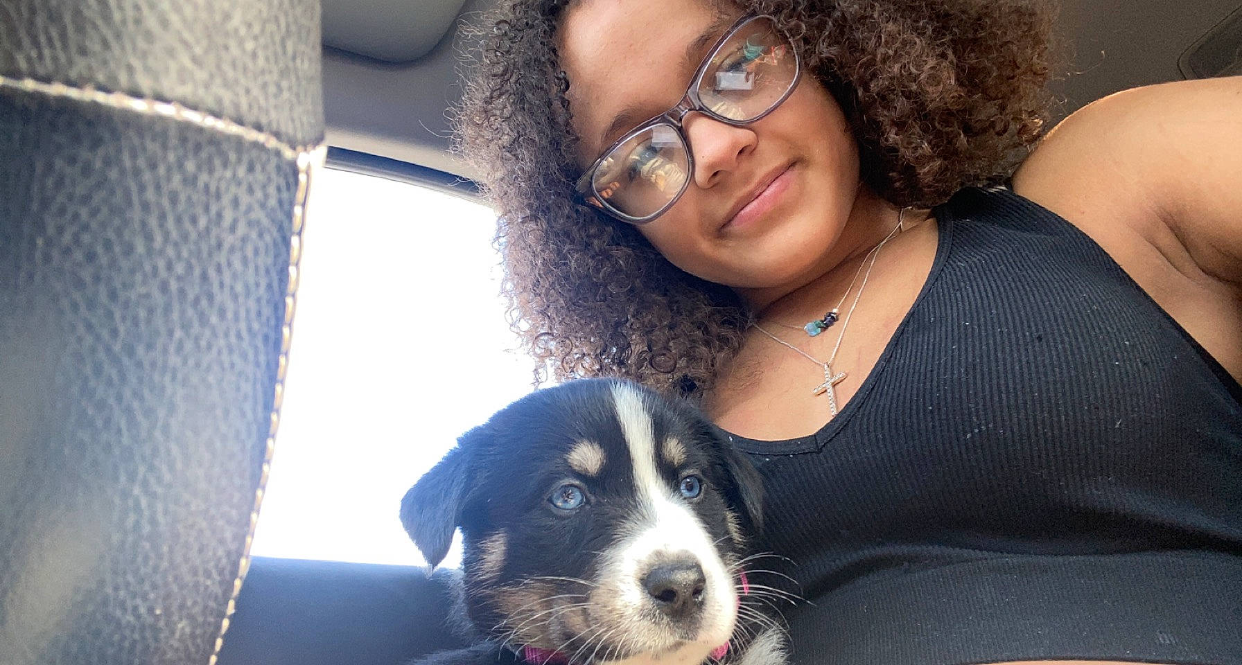 Lulu is registered to the contest to win money with this photo: black, black_hair, carnivore, companion_dog, cool, dog, dog_breed, ear, eyelash, eyewear, glasses, happy, lip, long_hair, nose, organ, snout, sunglasses, trunk, vision_care