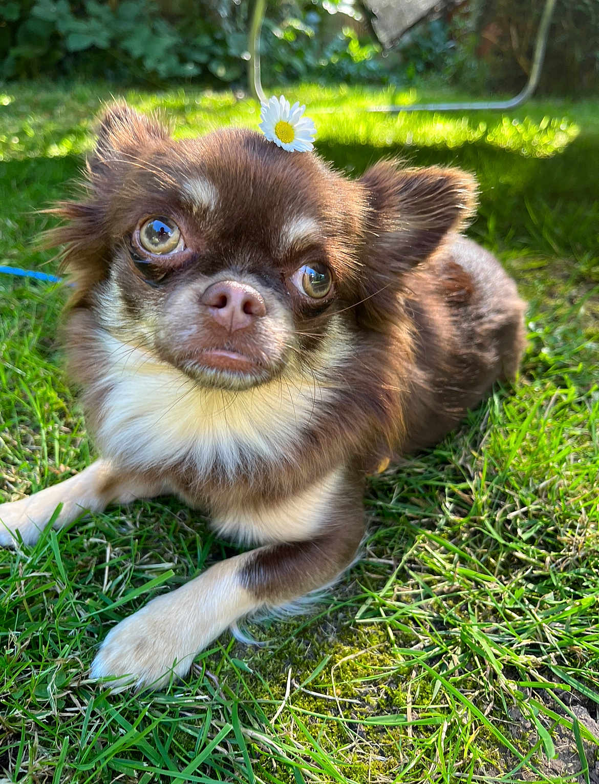 Kiki