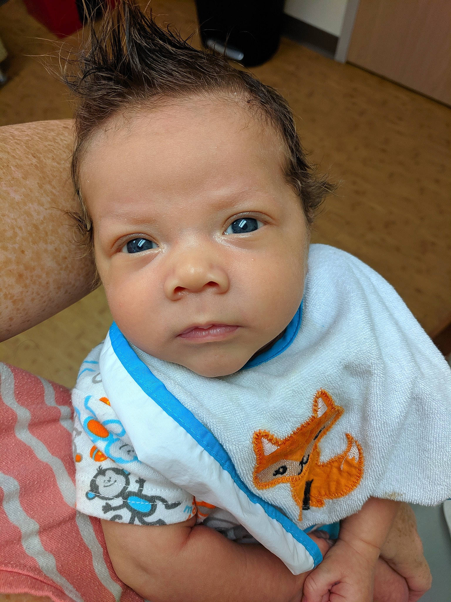 Kaspan is registered to the contest to win money with this photo: baby, cheek, child, chin, ear, eye, face, head, iris, lip, mouth, nose, person, skin, toddler