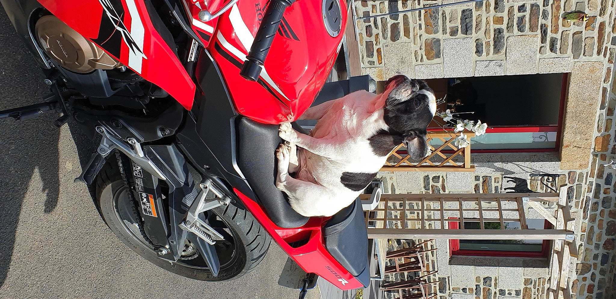 Holly-wood participe au concours pour gagner de l'argent avec cette photo : auto_part, automotive_exterior, automotive_lighting, automotive_wheel_system, car, carmine, honda, motorcycle, red, rim, spoke, vehicle, wheel