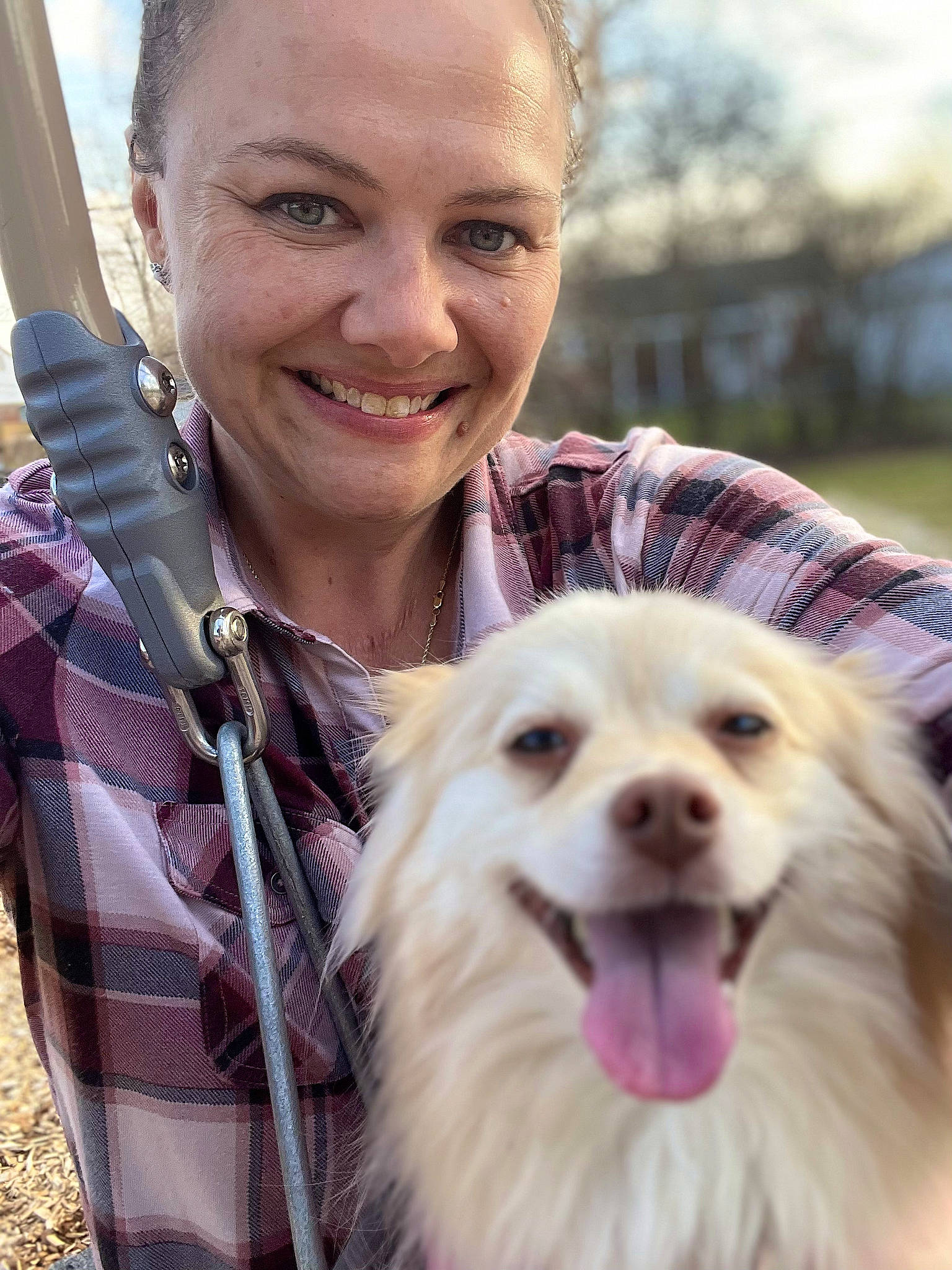 Bella joined the competition — help win amazing prizes! carnivore, companion_dog, dog, dog_breed, eye, face, fun, fur, happy, iris, leisure, organ, photograph, recreation, shetland_sheepdog, skin, smile, snout, spitz, whiskers