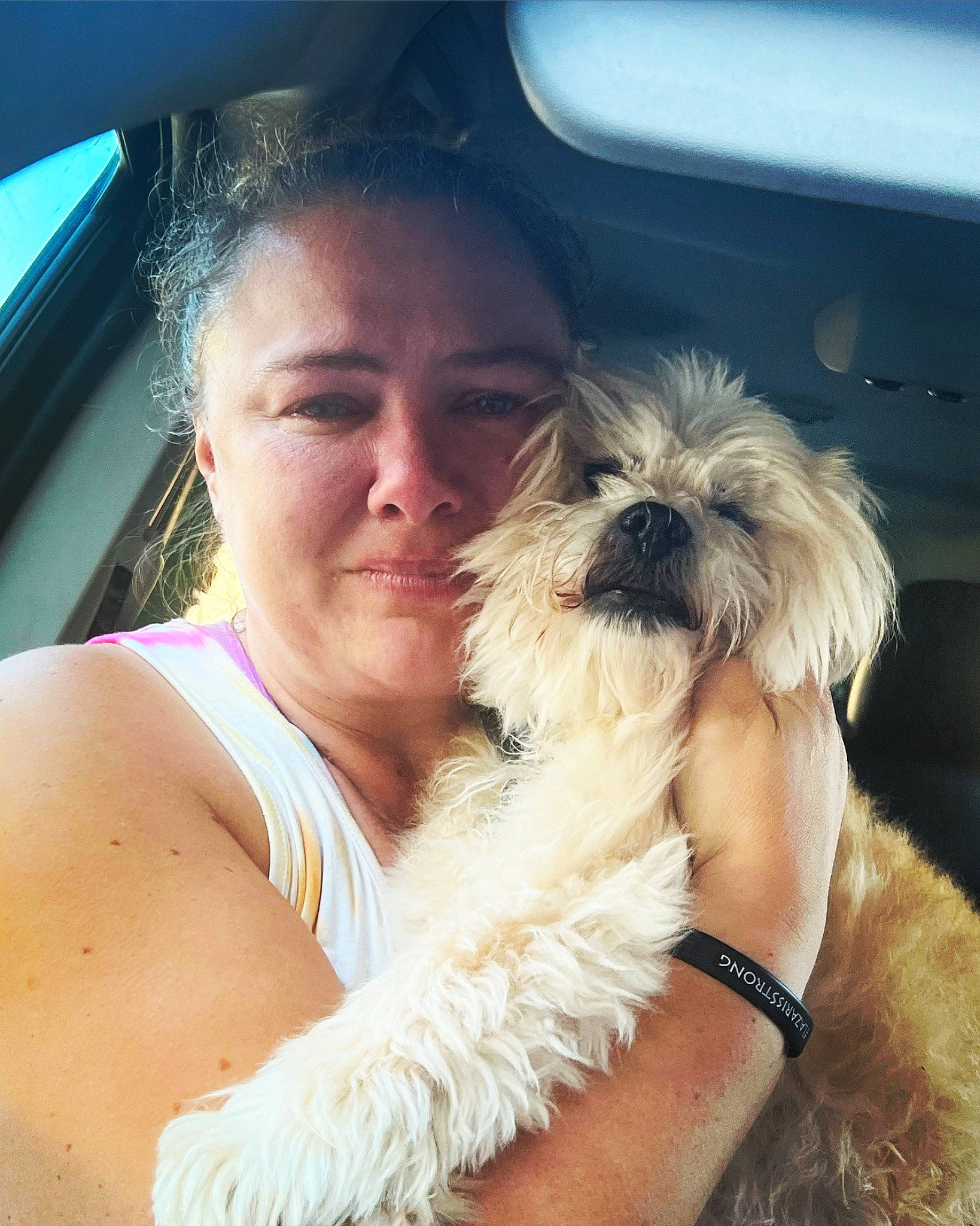 Gizmo is registered to the contest to win money with this photo: brown_hair, canidae, carnivore, companion_dog, dog, dog_breed, dog_collar, eyewear, fawn, fur, happy, liver, puppy_love, small_terrier, smile, snout, sporting_group, terrier, toy_dog, working_animal