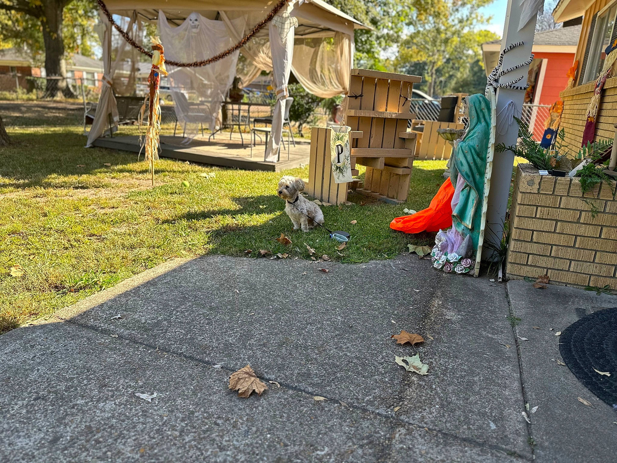 Chase is registered to the contest to win money with this photo: asphalt, building, city, door, garden, grass, house, landscape, landscaping, leisure, outdoor_play_equipment, plant, playground, recreation, road_surface, shade, sidewalk, soil, tree, wood