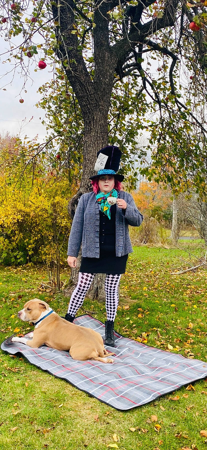 Bb is registered to the contest to win money with this photo: autumn, boot, canidae, carnivore, collar, companion_dog, costume, costume_accessory, costume_hat, dog, dog_breed, fur, hat, hound, leash, sporting_group, spring, sun_hat, vintage_clothing, working_dog