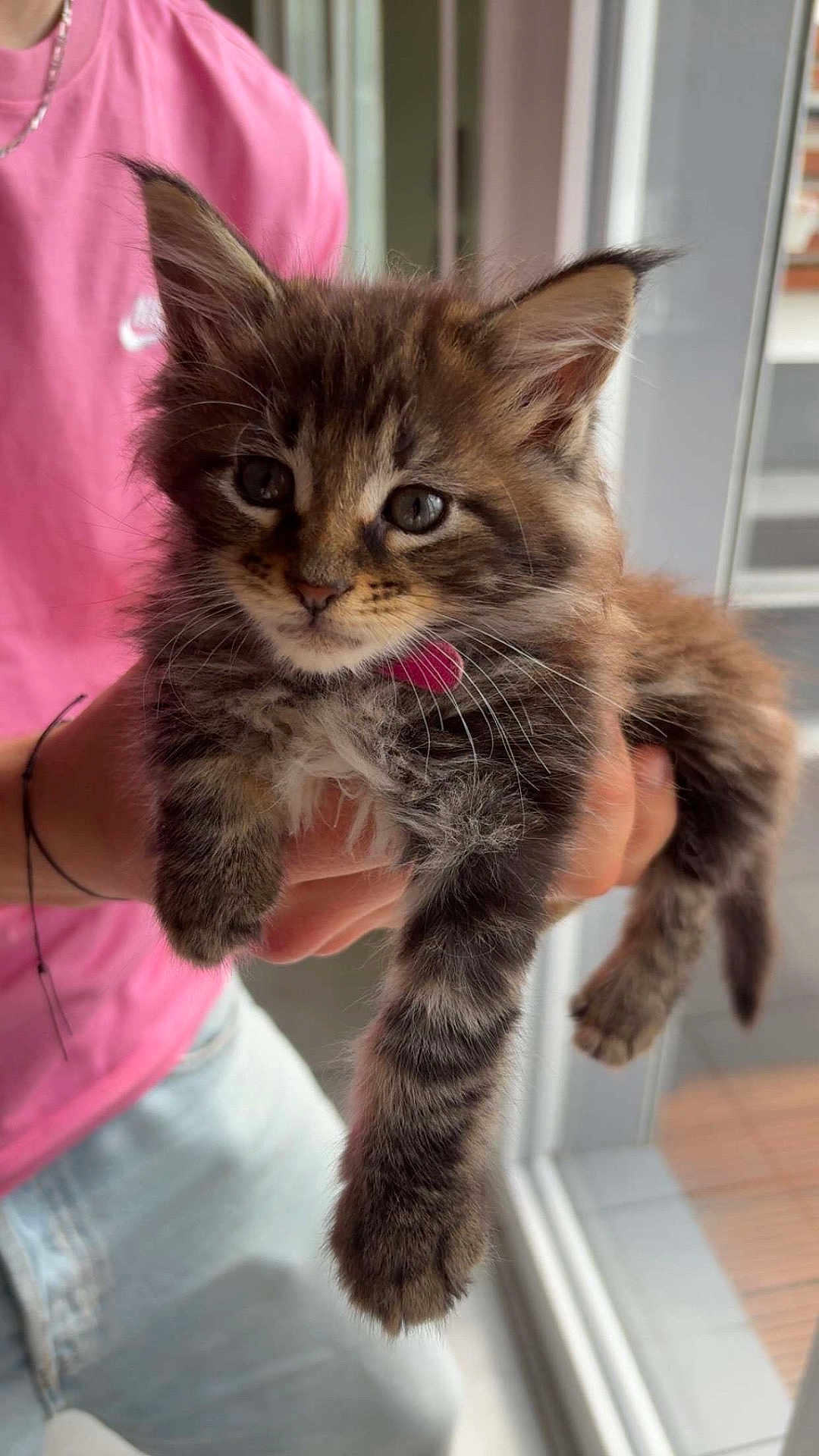 Nala