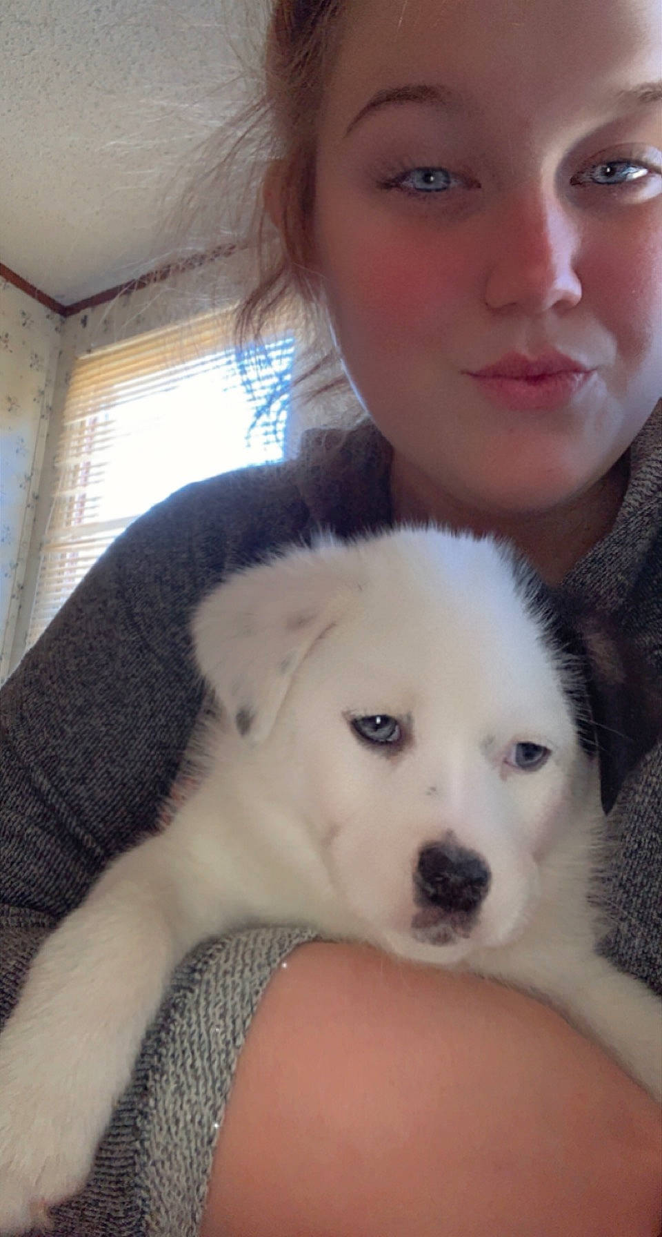 Yogi joined the competition — help win amazing prizes! canidae, carnivore, companion_dog, dog, dog_breed, ear, eye, eyelash, face, fawn, fur, happy, maremma_sheepdog, nose, puppy_love, skin, snout, sporting_group, whiskers, window