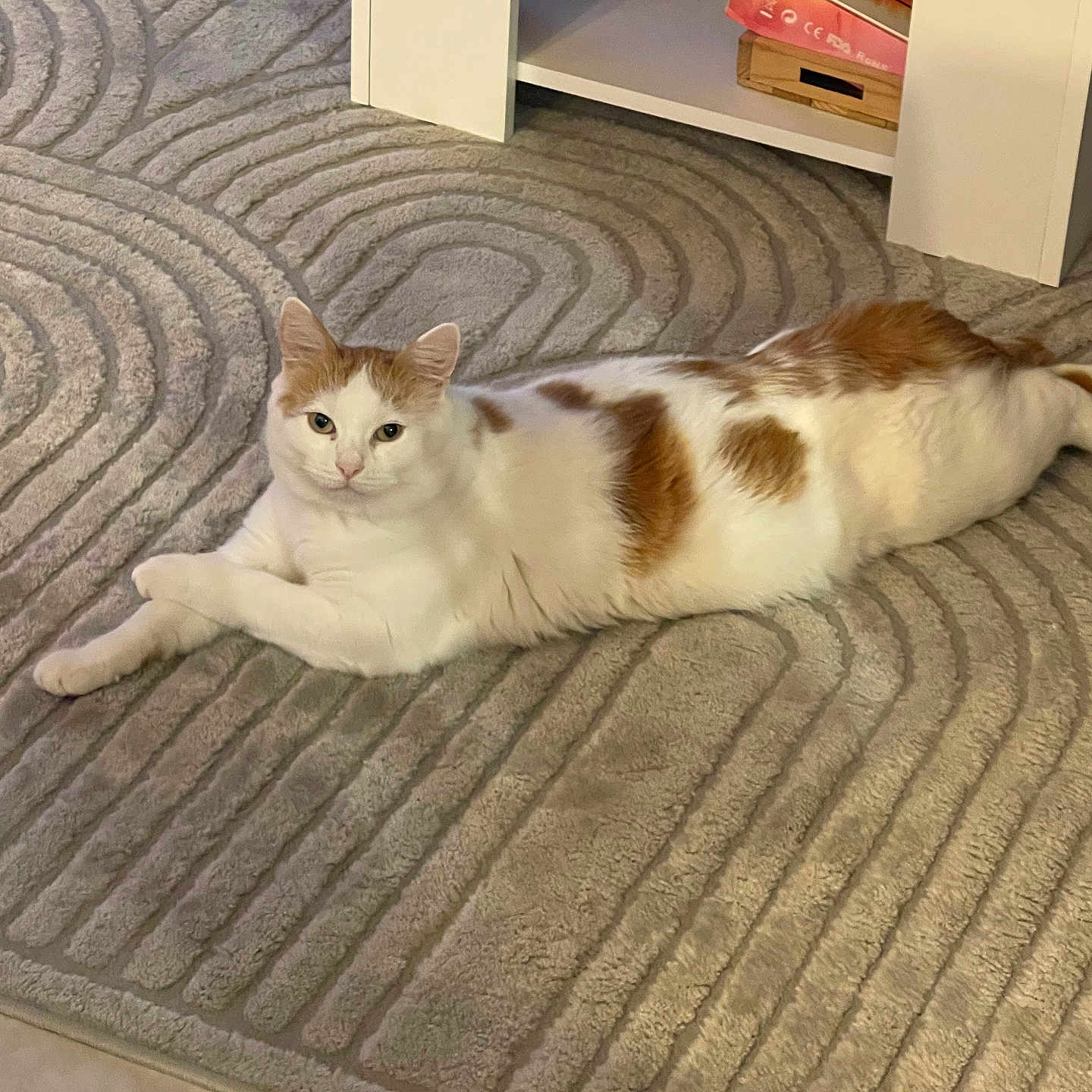 Rio