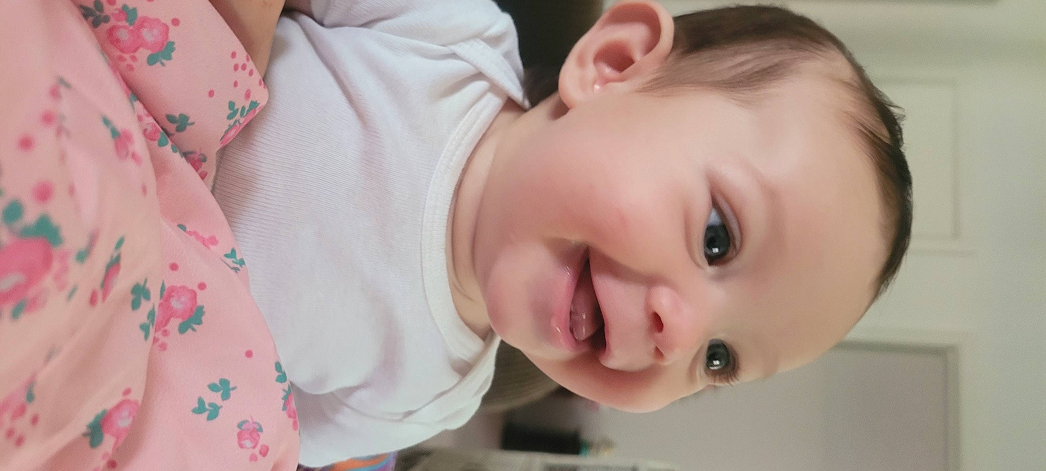Juniper joined the competition — help win amazing prizes! baby, cheek, dress, ear, eyelash, forehead, happy, headgear, human_body, iris, lip, mouth, neck, nose, person, plant, skin, sleeve, smile, toddler