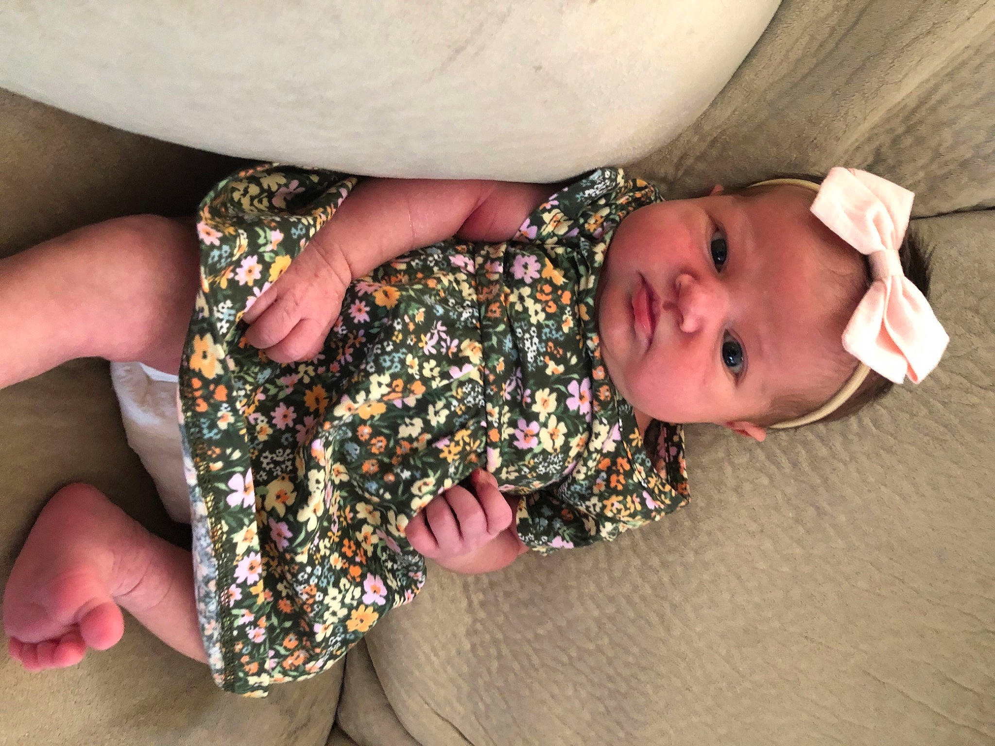 Luella joined the competition — help win amazing prizes! baby, baby_toddler_clothing, child, comfort, dress, finger, gesture, hand, happy, human_body, leg, linens, nail, pattern, person, skin, sleeve, thigh, toddler, tree