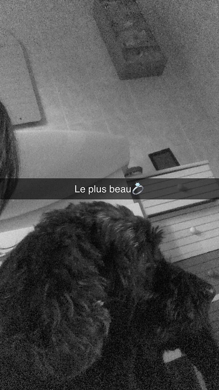 Betowen participe au concours pour gagner de l'argent avec cette photo : black_and_white, canidae, carnivore, comfort, companion_dog, dog, dog_breed, flooring, fur, grey, monochrome, monochrome_photography, room, shadow, snout, sporting_group, style, tail, tints_and_shades, working_animal