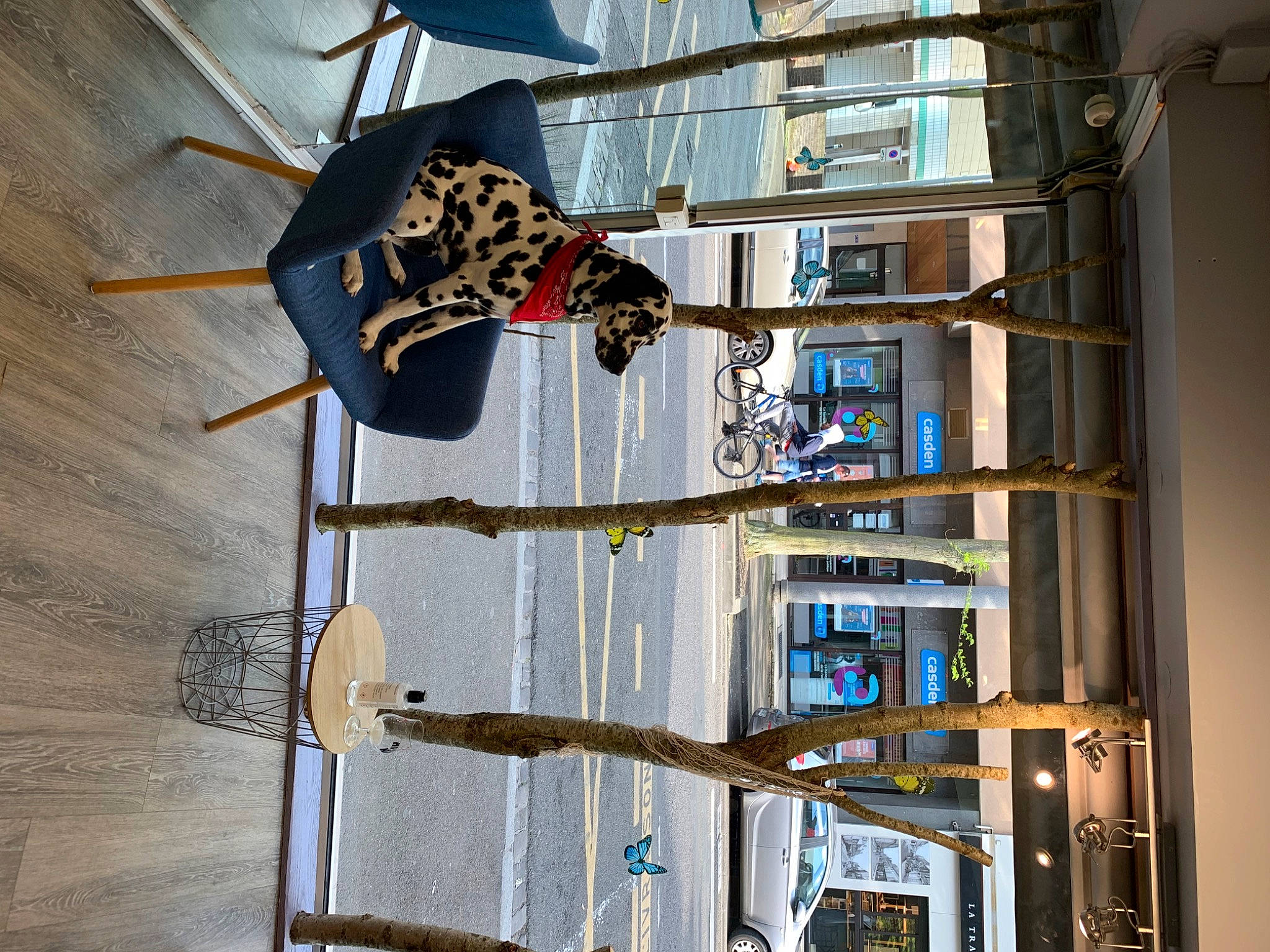 Pinceau a rejoint le concours — aidez-le/la à gagner de superbes lots ! building, door, electrical_supply, electrical_wiring, electricity, engineering, facade, glass, hardwood, line, machine, metal, room, shelving, window, wire, wood