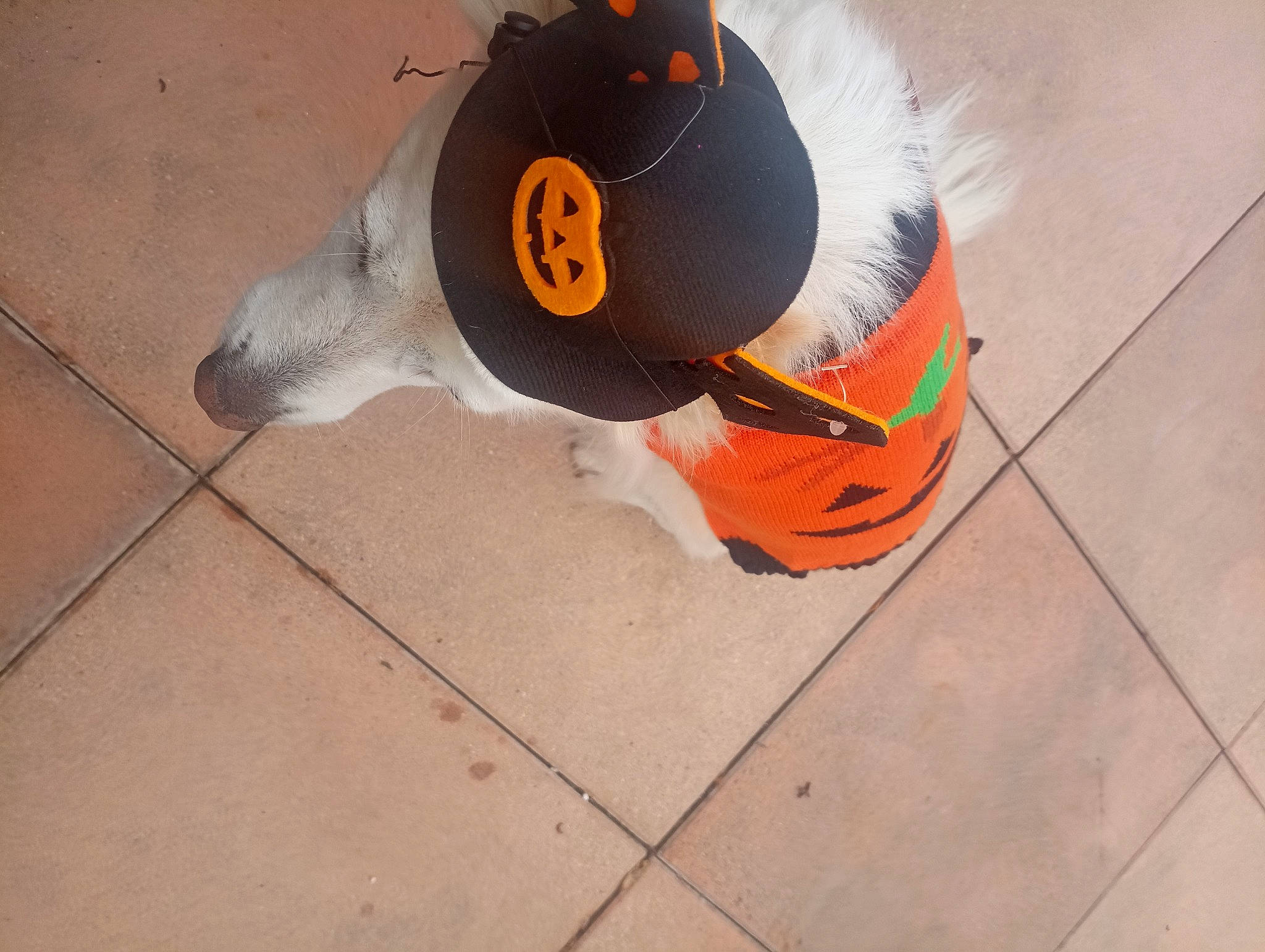 Jessy participe au concours pour gagner de l'argent avec cette photo : art, baseball_cap, cap, carmine, circle, composite_material, concrete, costume_hat, fashion_accessory, flooring, font, hat, paint, personal_protective_equipment, tile_flooring, visual_arts