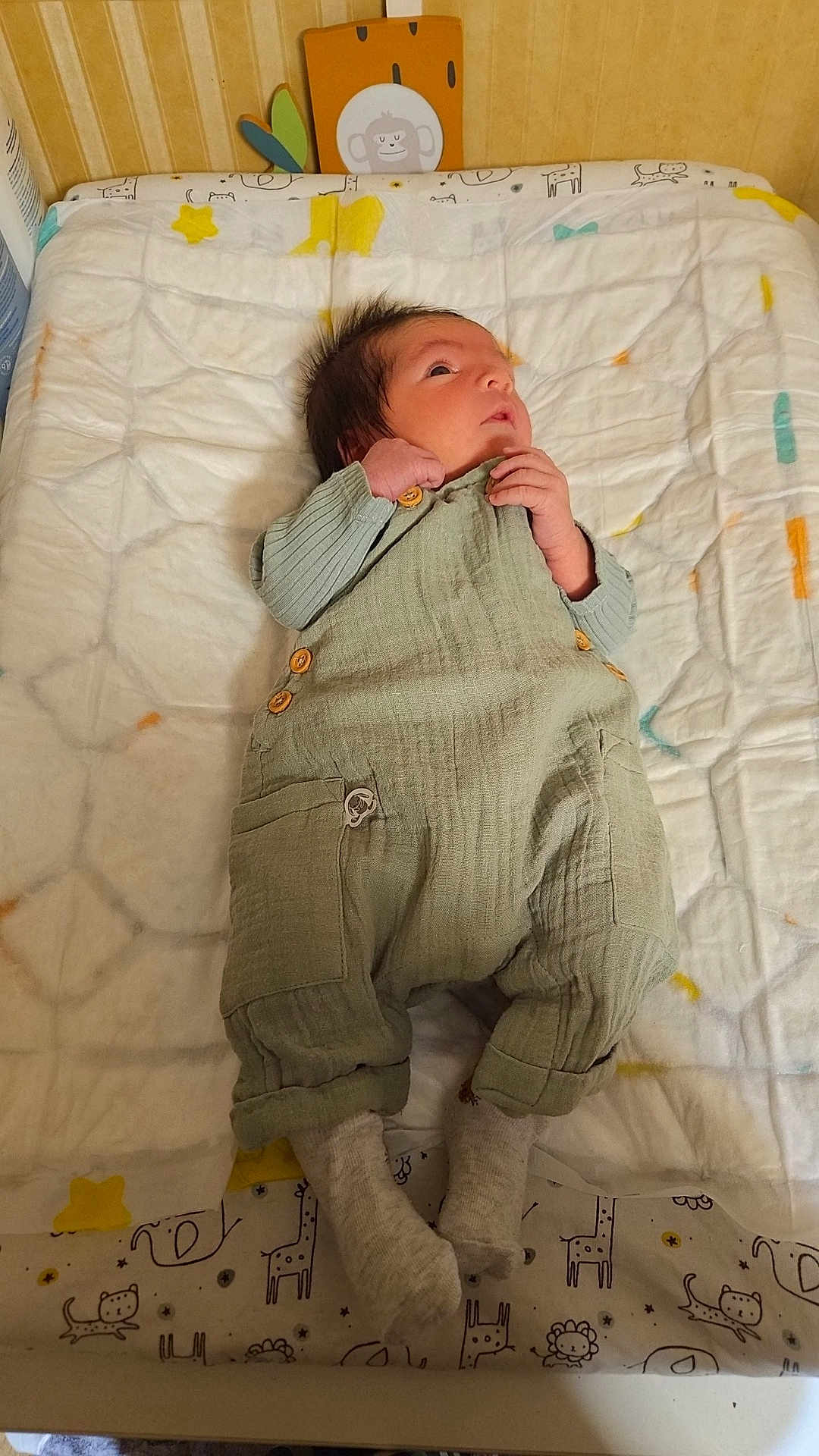 Eliasse participe au concours pour gagner de l'argent avec cette photo : baby, infant, clothing, overalls, socks, changing_pad, animal_prints, face, hand, footwear, fabric, bedroom, wall, soft_toys, pattern, cute, newborn, child, indoors, person