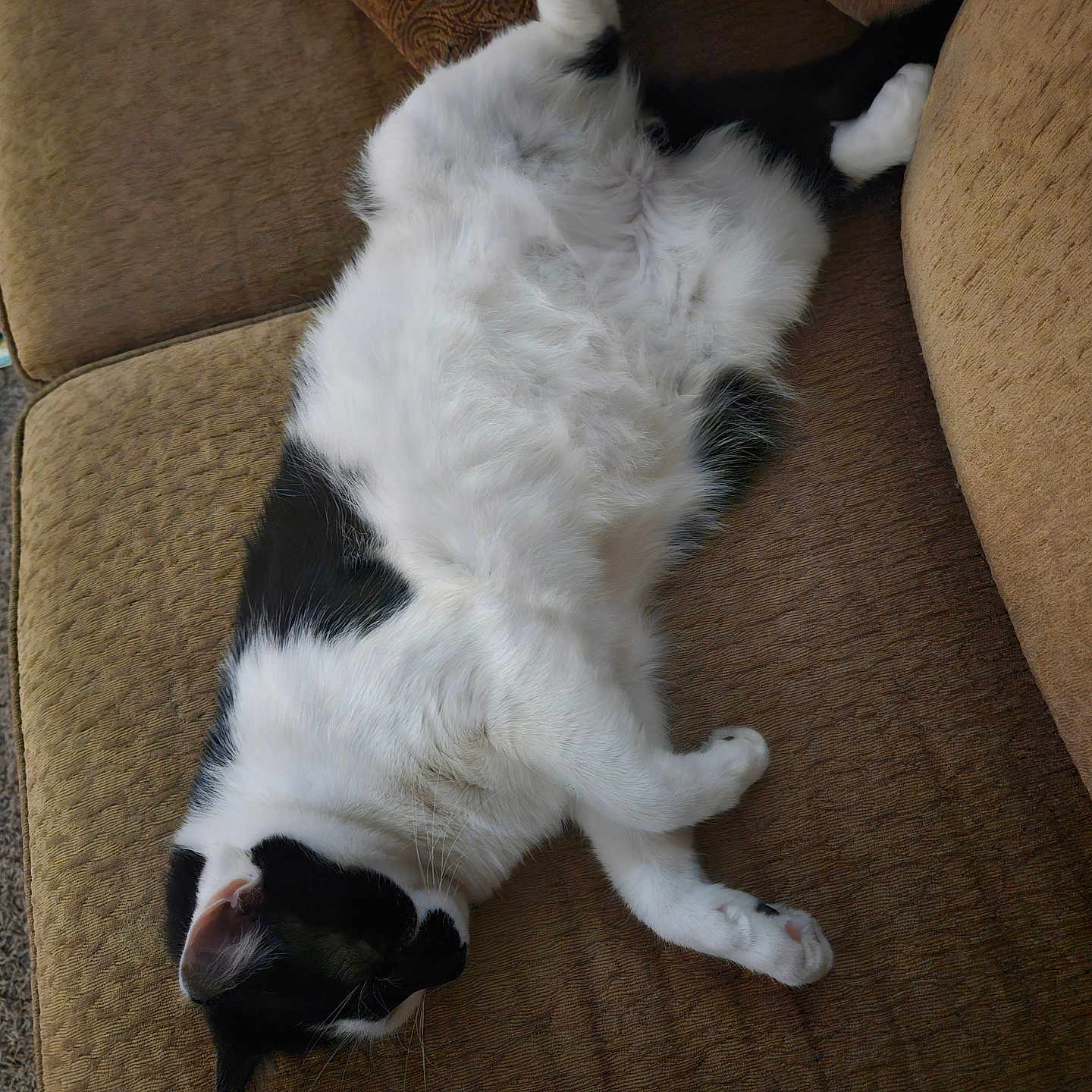Sherman