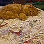 cat, orange_cat, fluffy, bedspread, patterned_bedspread, indoor, cozy, fireplace, shelf, blanket, resting, lying_down, feline, pet, fur, sleepy, home_interior, warm_lighting, relaxed, domestic_animal
