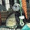 Igor participe au concours pour gagner de l'argent avec cette photo :
