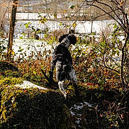 Jessie participe au concours pour gagner de l'argent avec cette photo :