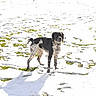 Jessie participe au concours pour gagner de l'argent avec cette photo :
