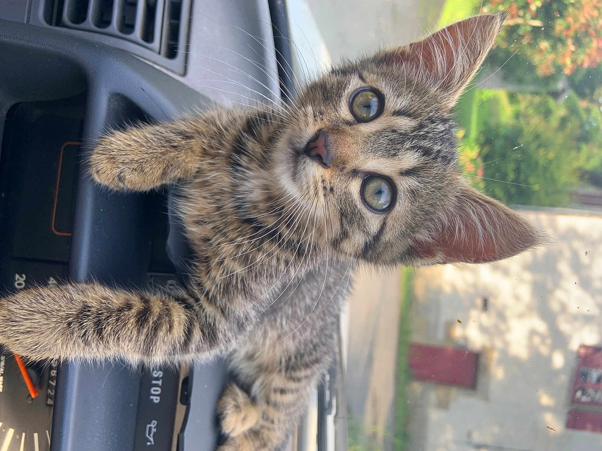 Kira