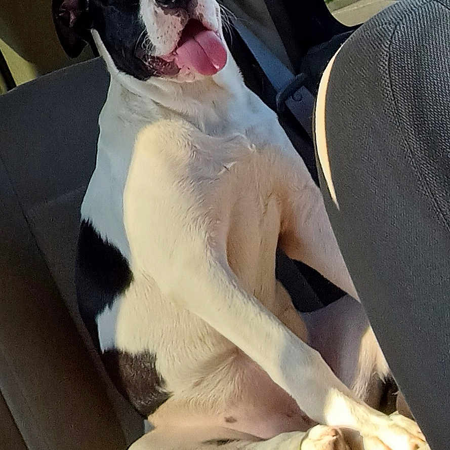 Molly