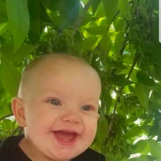 Anastazia is registered to the contest to win money with this photo: baby, cheek, child, chin, face, facial_expression, green, head, leaf, lip, male, mouth, nose, organism, person, photography, plant, skin, smile, toddler