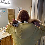 Mimi is registered to the contest to win money with this photo: cat, person, hoodie, indoor, bathroom, mirror, sink, cabinet, light, orange_cat, white_cat, curious_cat, hand, wall_art, door, reflection, plush, cute, funny_face, pet