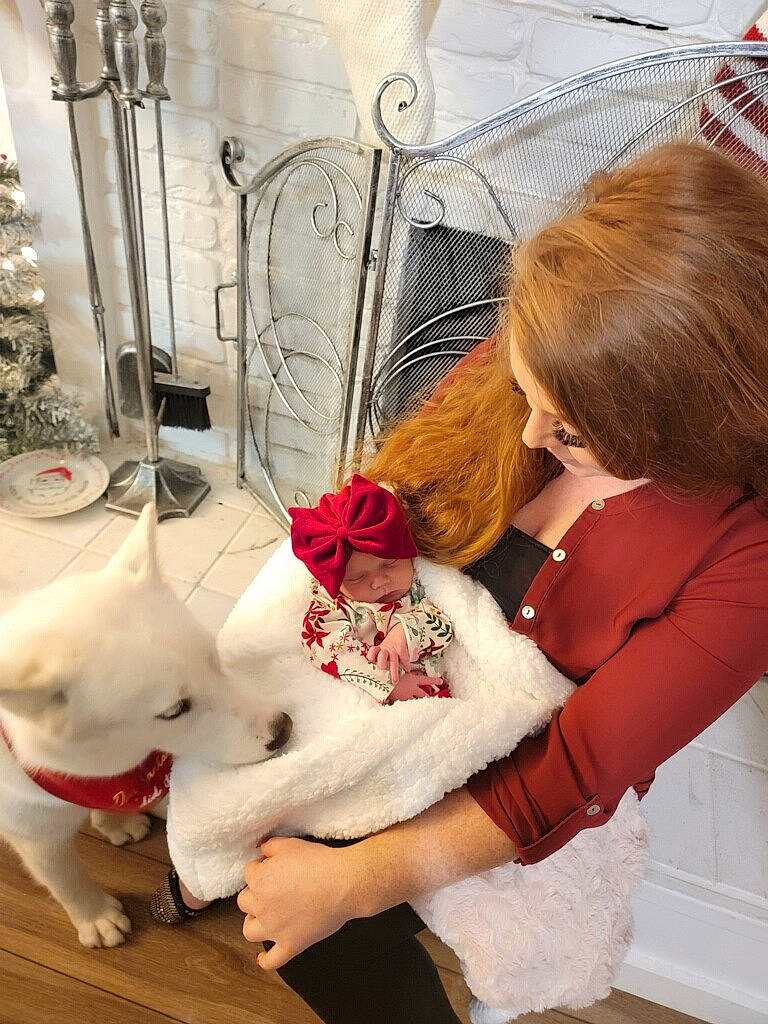 Indiana joined the competition — help win amazing prizes! carmine, carnivore, child, companion_dog, dog_breed, eyewear, fashion_accessory, felidae, fur, goggles, headwear, human_leg, jewellery, necklace, person, rose, stuffed_toy, sunglasses, textile, toddler