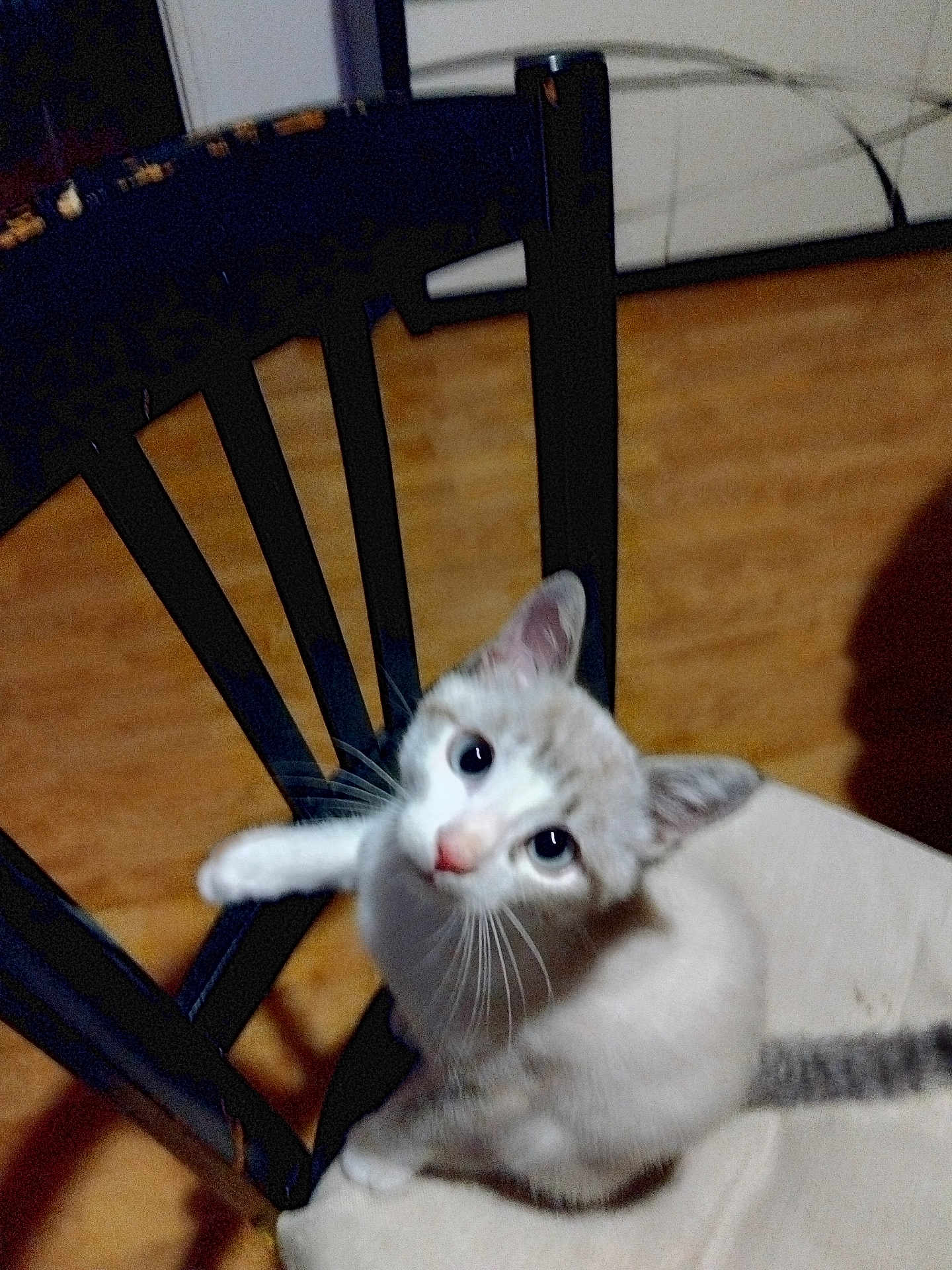 Caramel