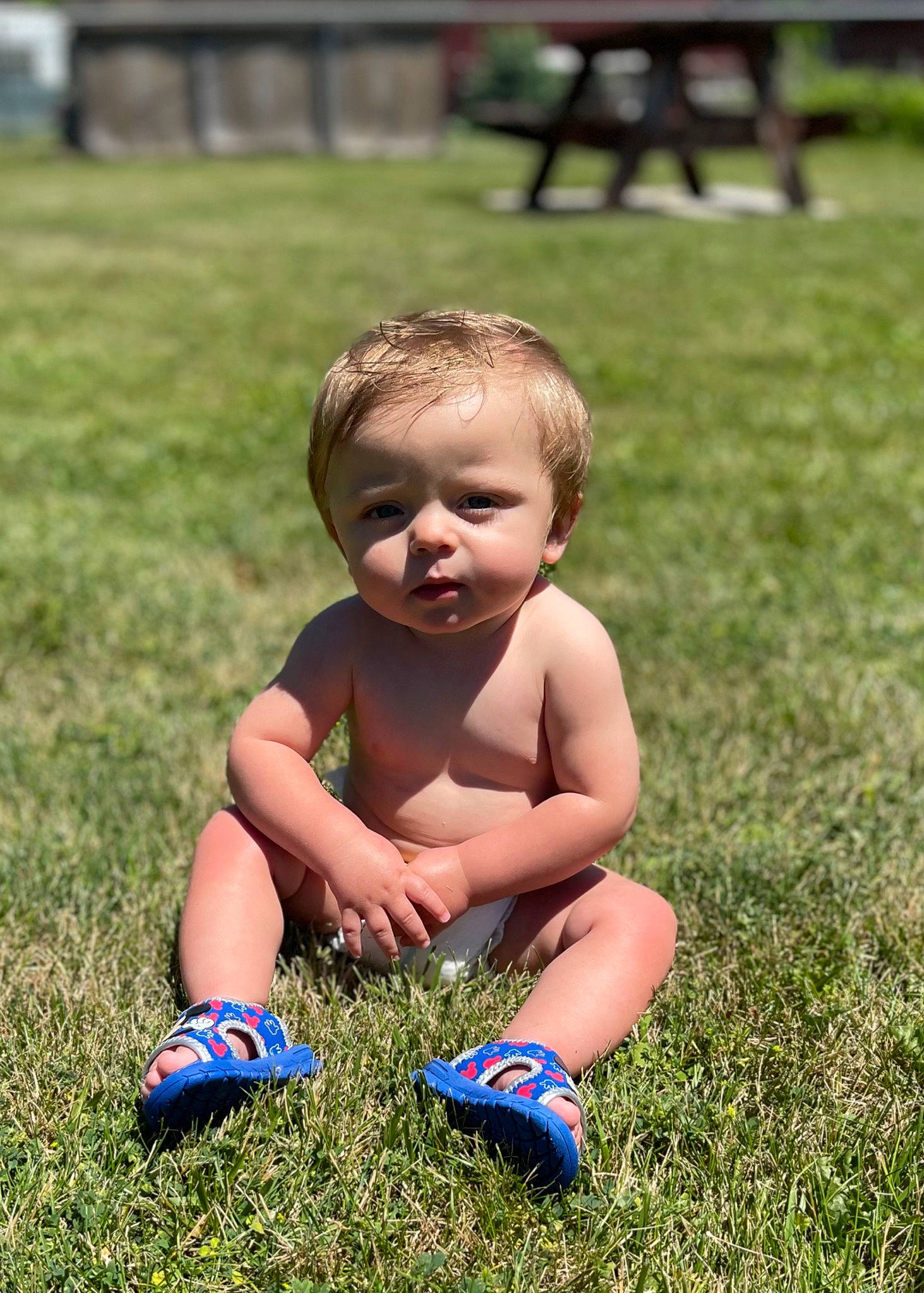 Jiraiya is registered to the contest to win money with this photo: baby, baby_toddler_clothing, child, eye, fun, grass, grass_family, grassland, happy, head, human_leg, lawn, leisure, meadow, nature, people_in_nature, person, plant, recreation, skin