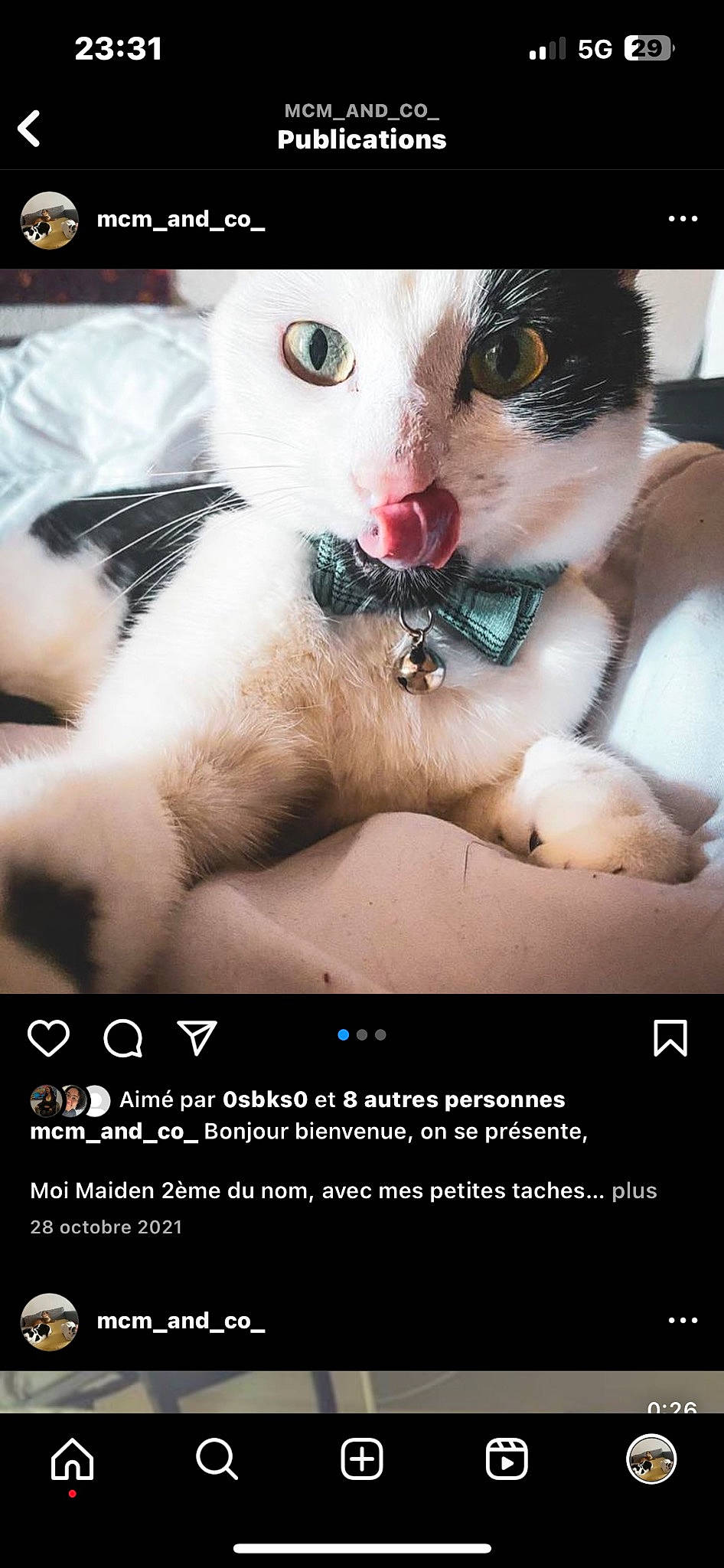 Maiden a rejoint le concours — aidez-le/la à gagner de superbes lots ! advertising, carnivore, cat, domestic_short_haired_cat, eyelash, felidae, flash_photography, flesh, font, fur, gesture, happy, organism, paw, photo_caption, screenshot, small_to_medium_sized_cats, snout, stock_photography, whiskers