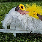 Genevieve is registered to the contest to win money with this photo: baby, sleeping, yellow_tutu, flower_headband, sunflower, fluffy_blanket, wooden_bench, outdoor, grass, greenery, newborn, peaceful, cute, portrait, infant, nature, soft_texture, resting, headband, baby_clothing