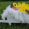 baby, sleeping, yellow_tutu, flower_headband, sunflower, fluffy_blanket, wooden_bench, outdoor, grass, greenery, newborn, peaceful, cute, portrait, infant, nature, soft_texture, resting, headband, baby_clothing