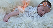 Genevieve is registered to the contest to win money with this photo: baby, newborn, sleeping, lace, headband, bow, peach, blanket, fluffy, soft, cozy, infant, cute, portrait, resting, child, peaceful, white, delicate, tender