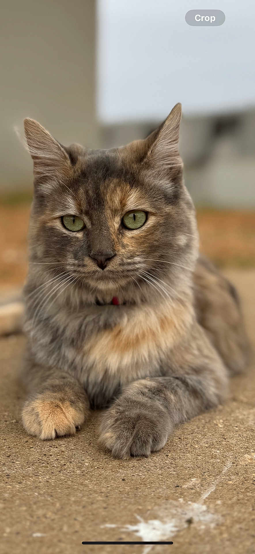 Keekee