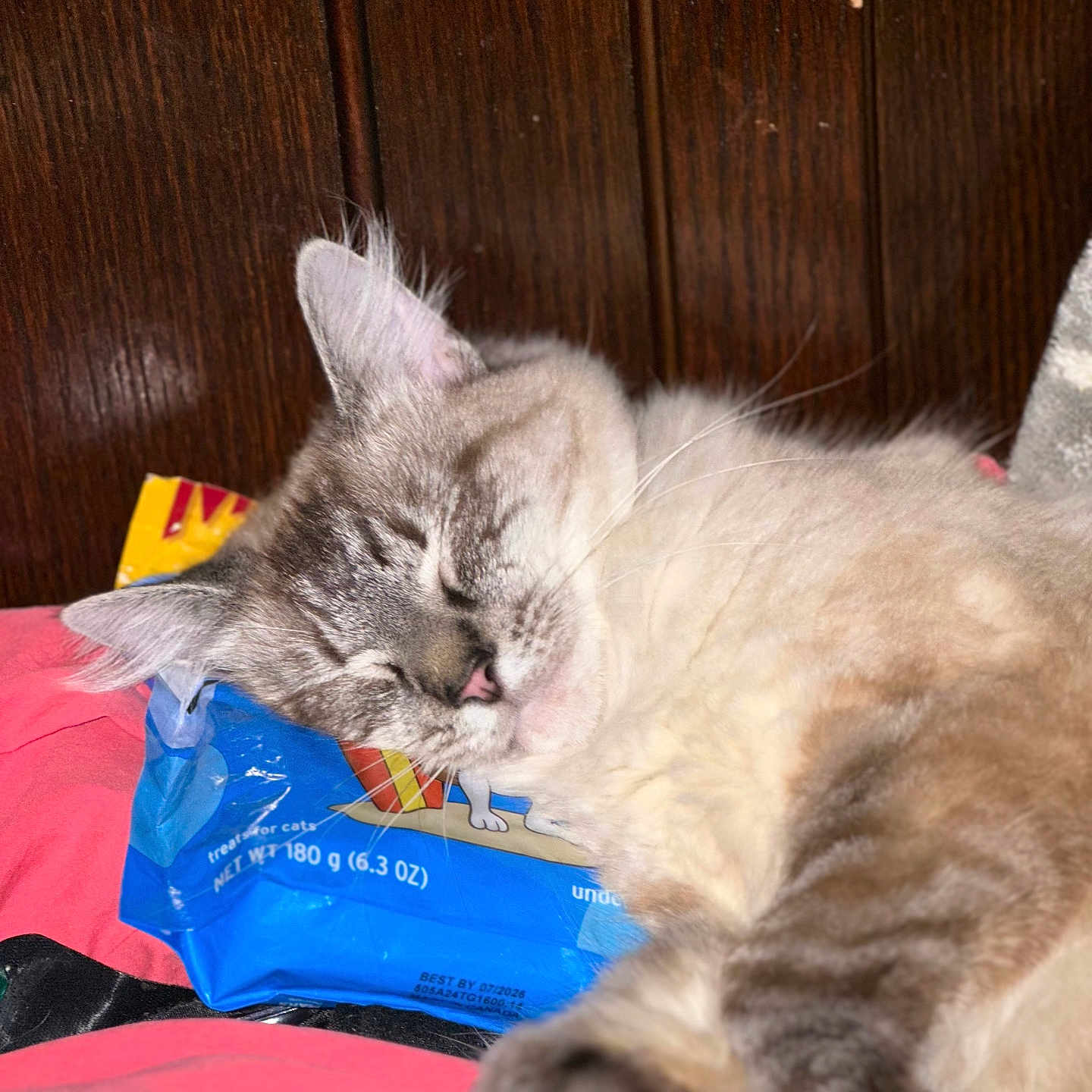 Simba joined the competition — help win amazing prizes! animal, bed, blue, cat, closeup, cozy, cute, domestic, fluffy, fur, indoor, pet, pink, relaxed, resting, sleeping, soft, treats, whiskers, wood