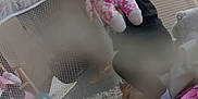 Layla is registered to the contest to win money with this photo: toddler, child, stuffed_toy, playpen, blanket, pink, indoor, mesh, toy, person, cute, soft_lighting, furniture, floor, carpet, clothing, black_shirt, cozy, home, baby