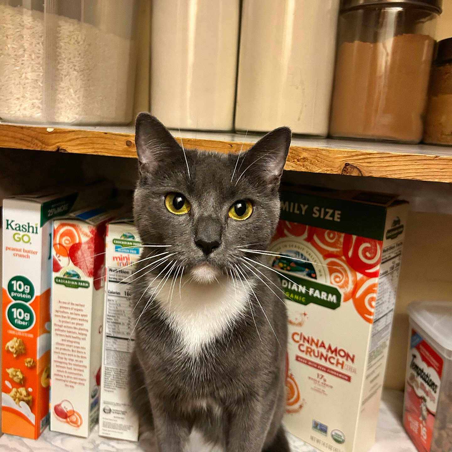 Juniper