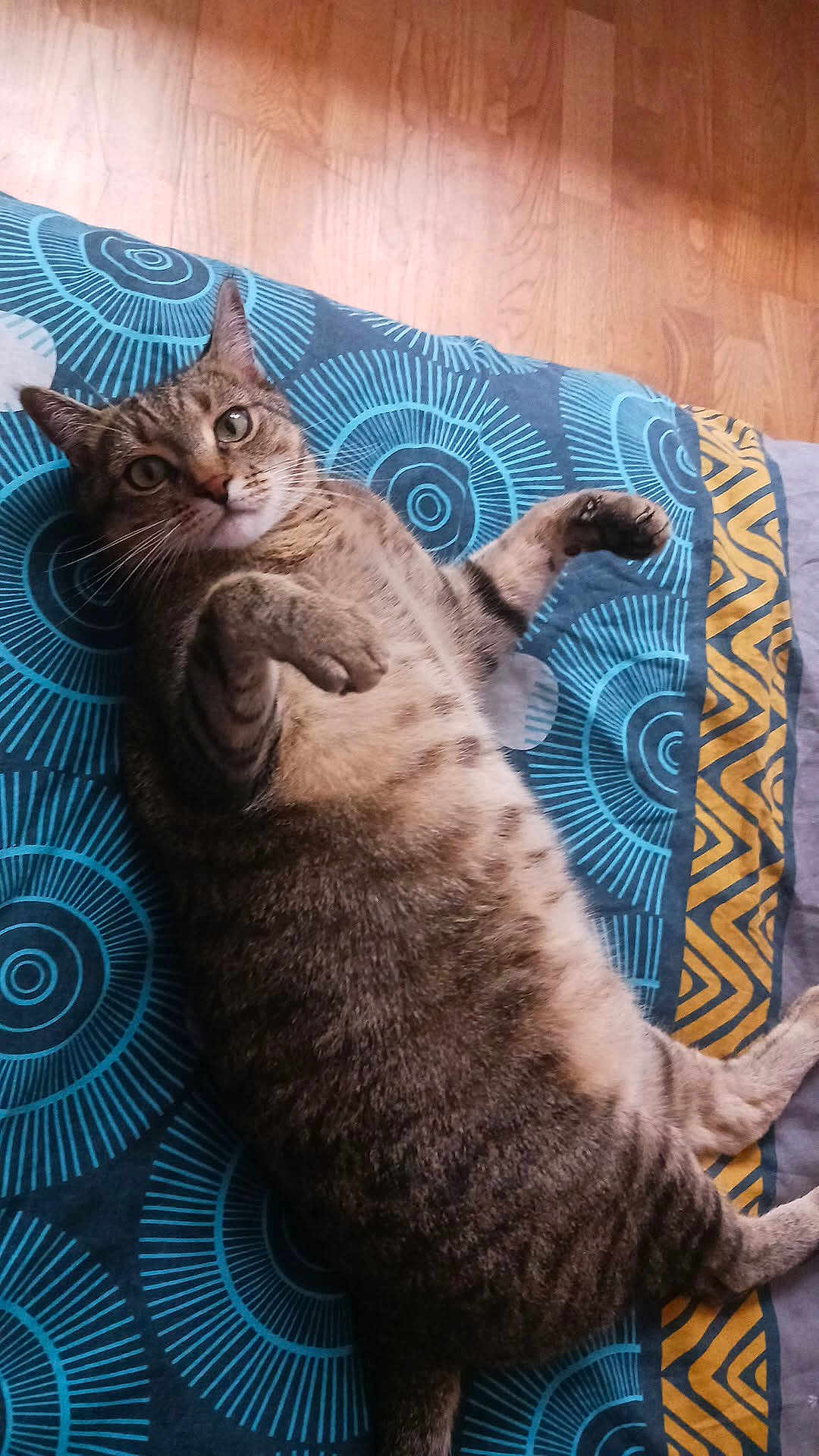 Pumba